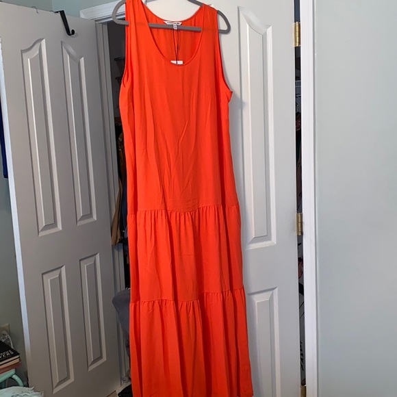 Elizabeth and James Dresses & Skirts - ELIZABETH AND JAMES Boho Maxi Dress